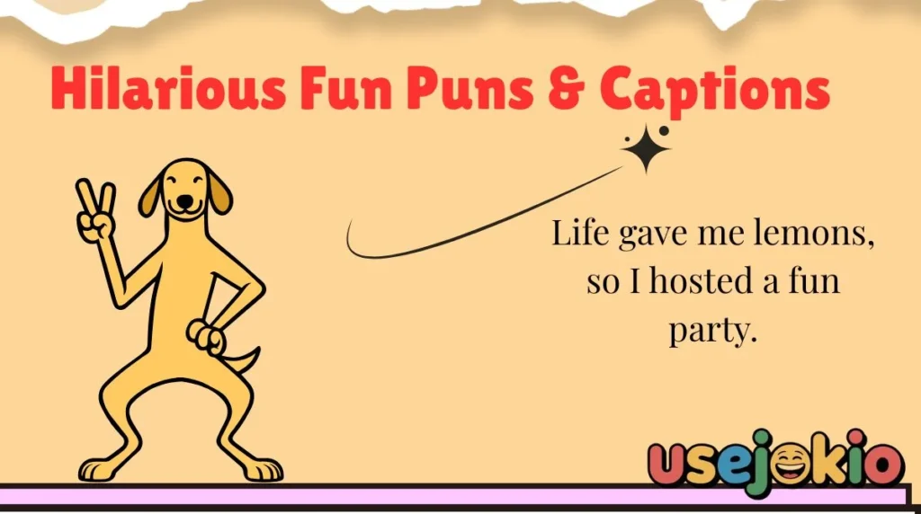Hilarious Fun Puns & Captions