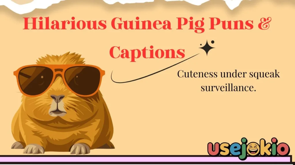 Hilarious Guinea Pig Puns & Captions