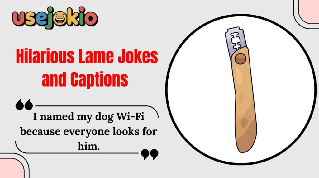 Hilarious Lame Jokes and Captions