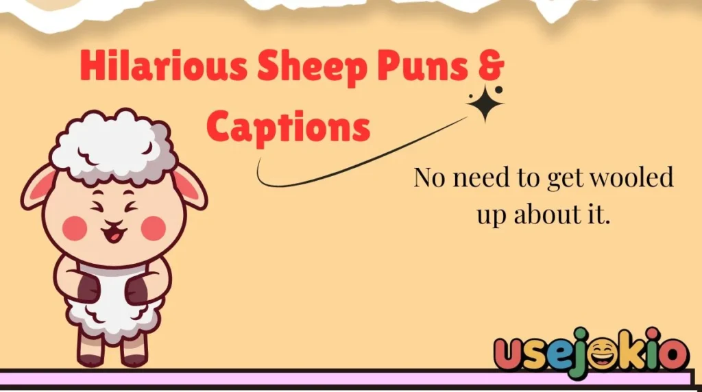 Hilarious Sheep Puns & Captions