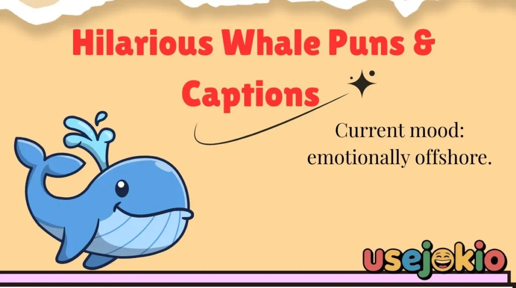 Hilarious Whale Puns & Captions 