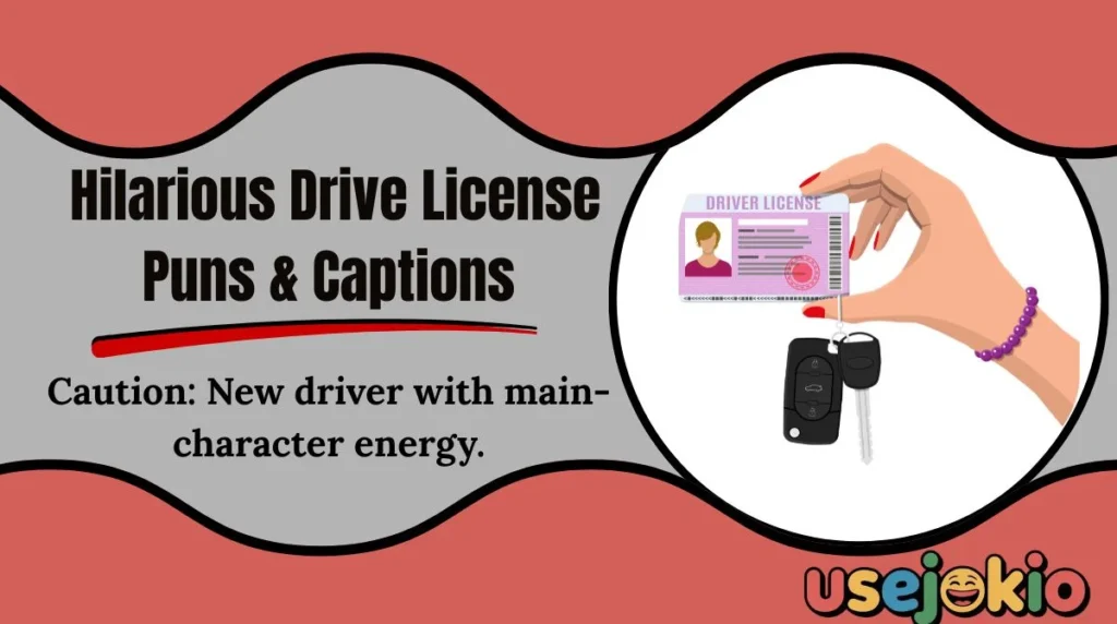 Hilarious Drive License Puns & Captions 