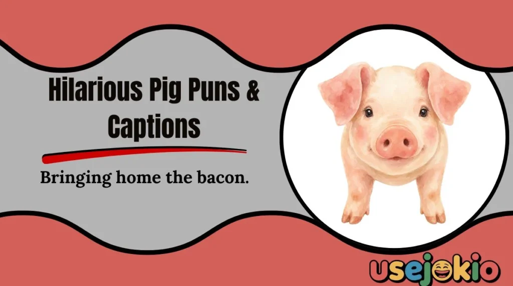 Hilarious Pig Puns & Captions