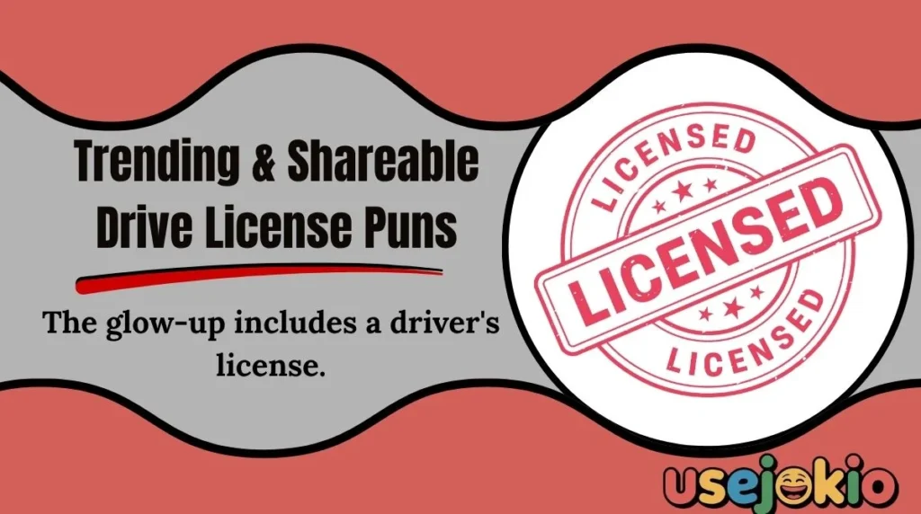 Trending & Shareable Drive License Puns