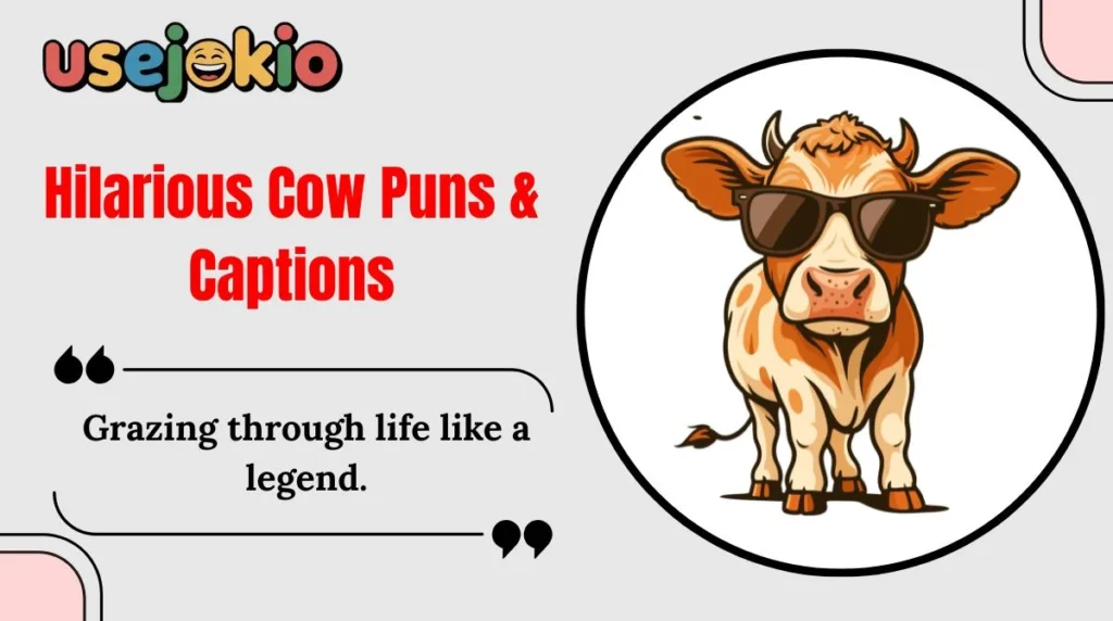 Hilarious Cow Puns & Captions
