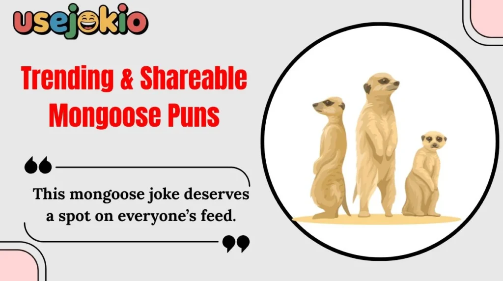 Trending & Shareable Mongoose Puns