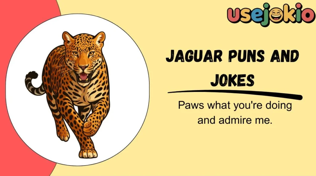 Jaguar Puns and Jokes
