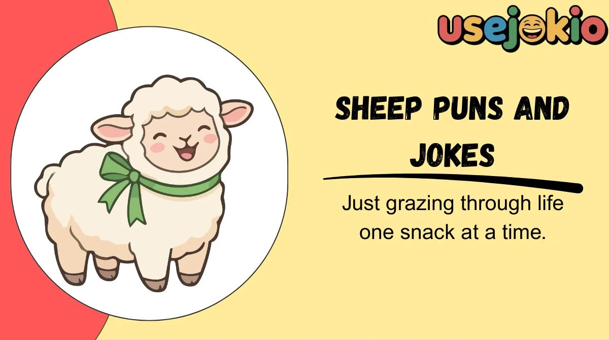 Sheep Puns and Jokes