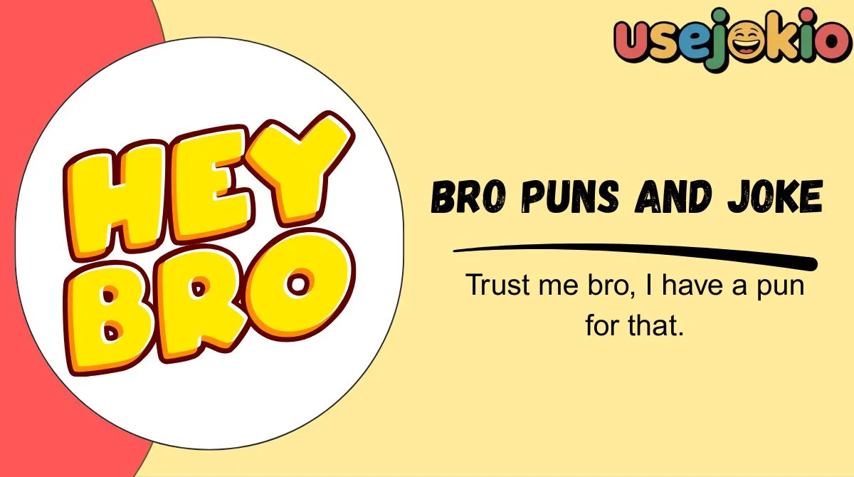 Bro Puns and Joke