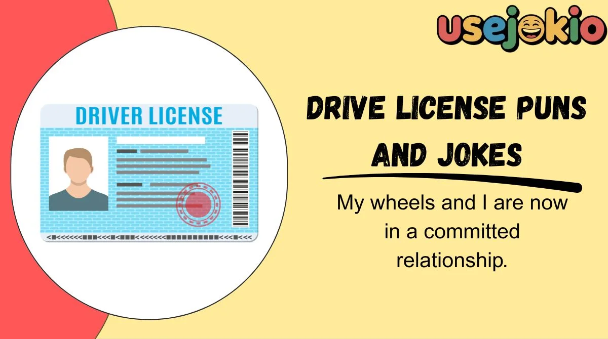 Drive License Puns and Jokes