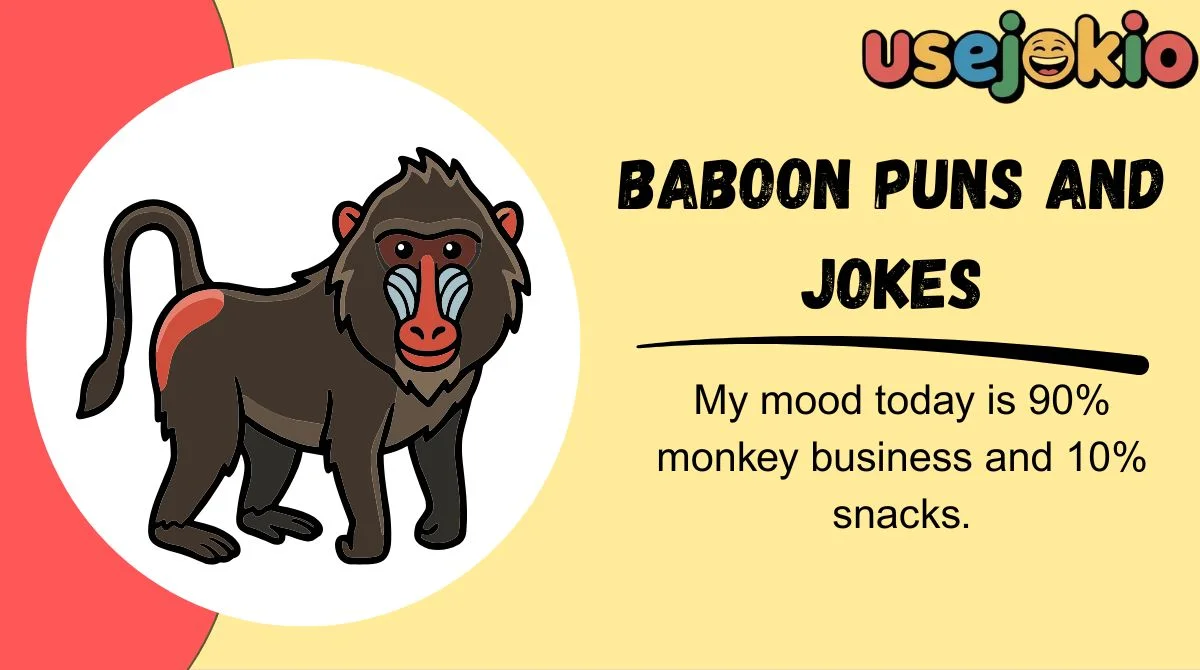 Baboon Puns and Jokes