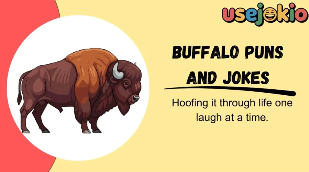 Buffalo Puns and Jokes