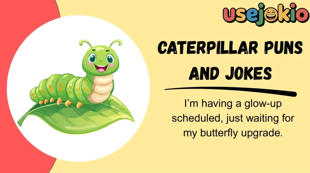 Caterpillar Puns and Jokes