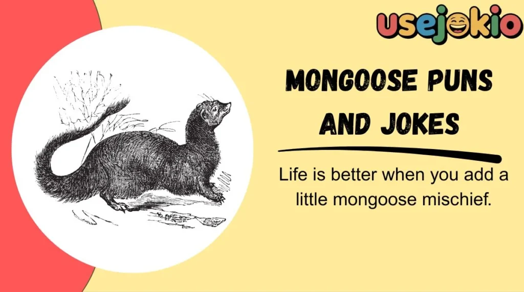 Mongoose Puns and Jokes