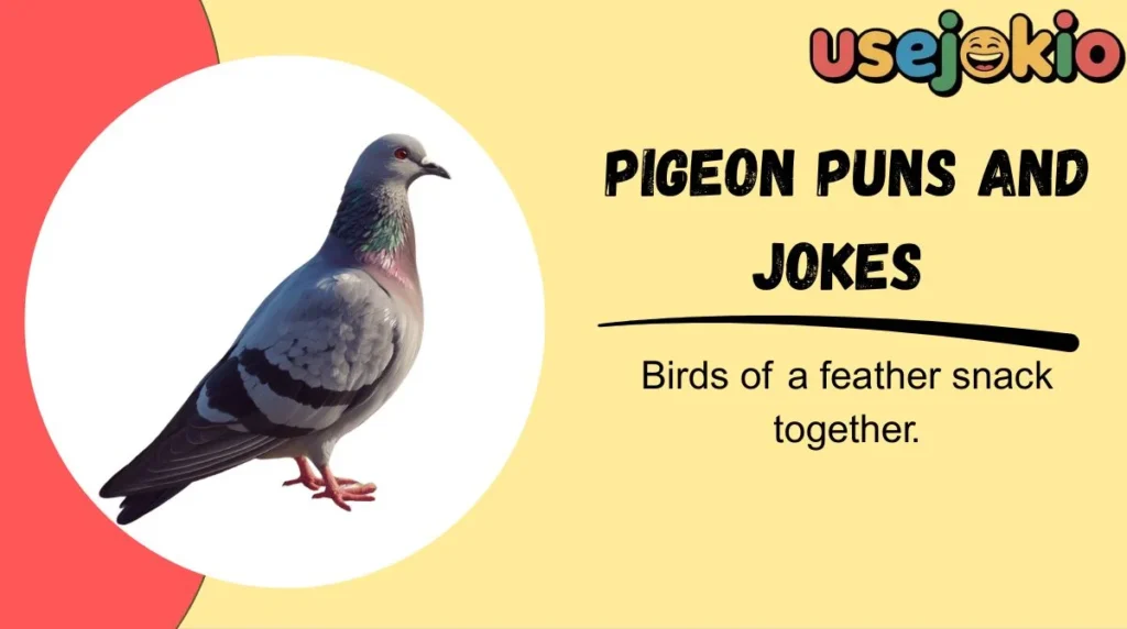 Pigeon Puns and Jokes
