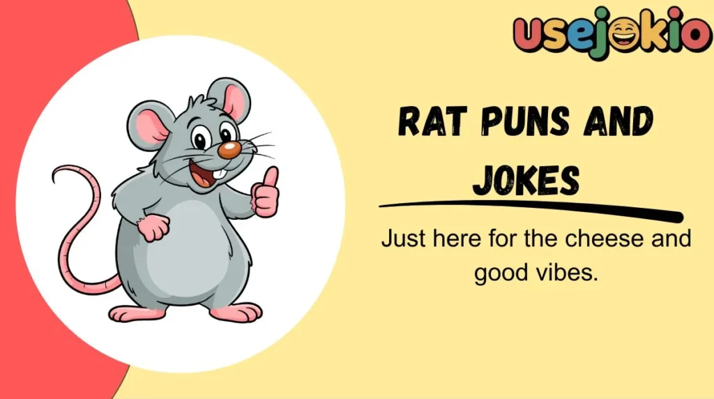 Rat Puns and Jokes