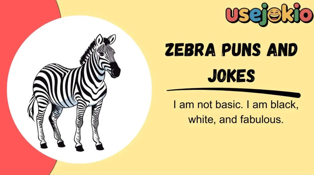 Zebra Puns and Jokes